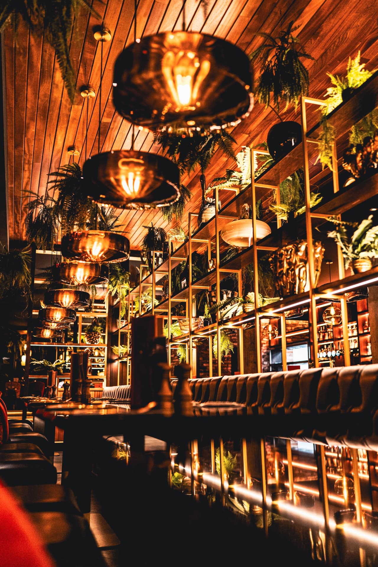Copper pendant lights and ferns over leather banquettes at Manjaros, Marton